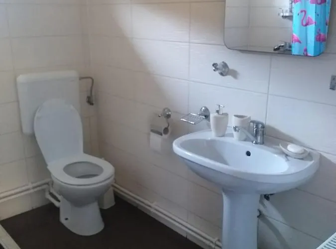 Casa Marronne Костинешти