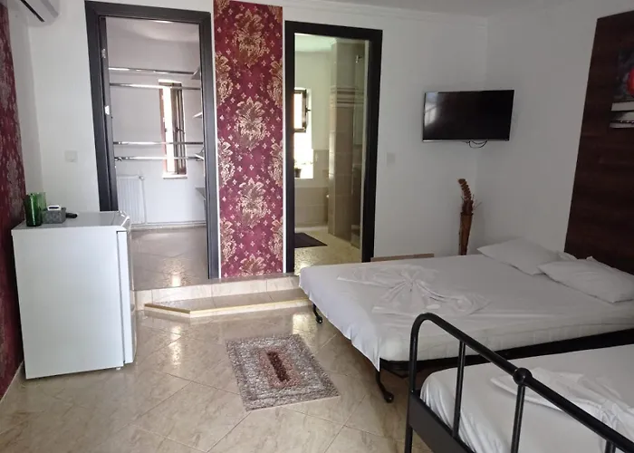 Casa Marronne Костинешти