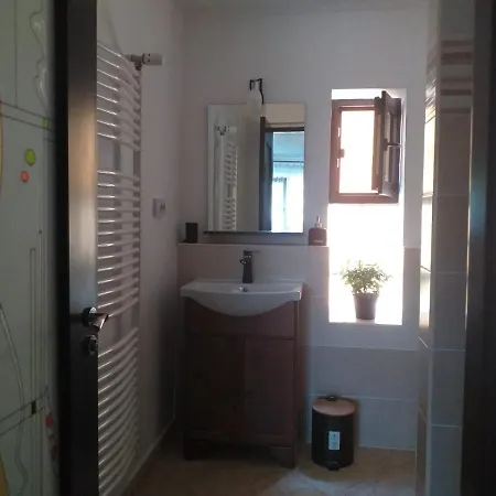Casa Marronne 招待所 科斯蒂内什蒂