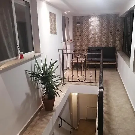 Casa Marronne 招待所 科斯蒂内什蒂