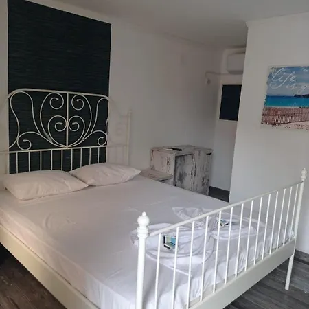 招待所 Casa Marronne 科斯蒂内什蒂